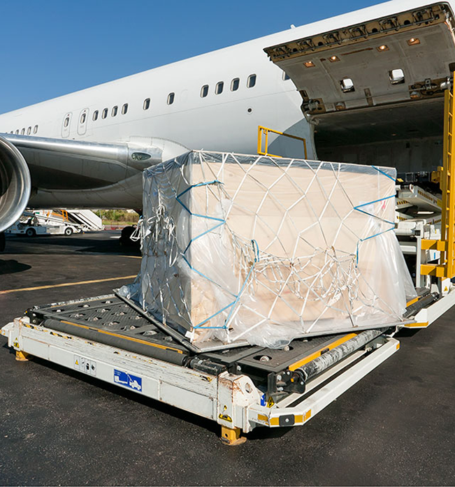 fine art shipping services in Orlando