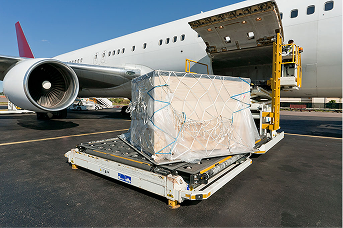 fine art shipping services in Orlando