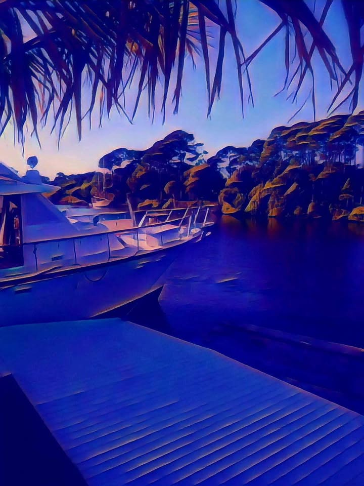 digital illustration art Orlando