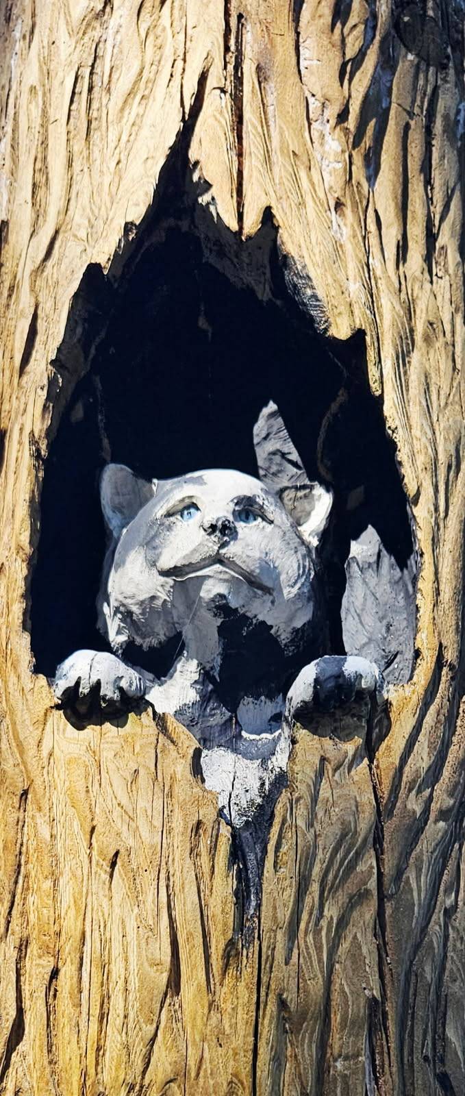 digital illustration art Orlando