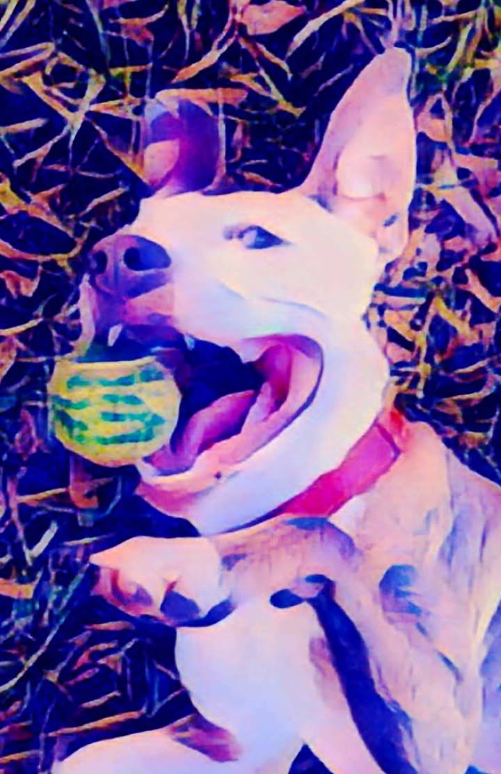 copyright ownership fine art