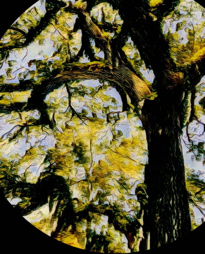 spiritual photo art illustration Orlando