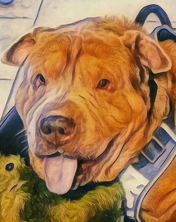 digital illustration art Orlando