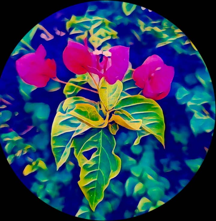 fine art and illustration Orlando