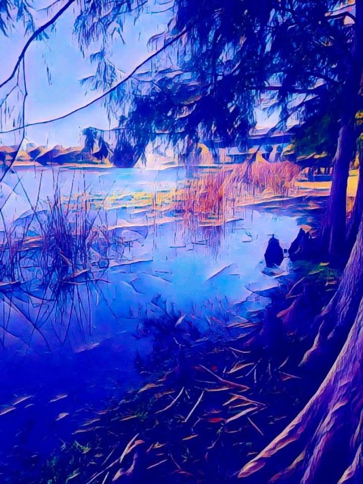 digital illustration art Orlando