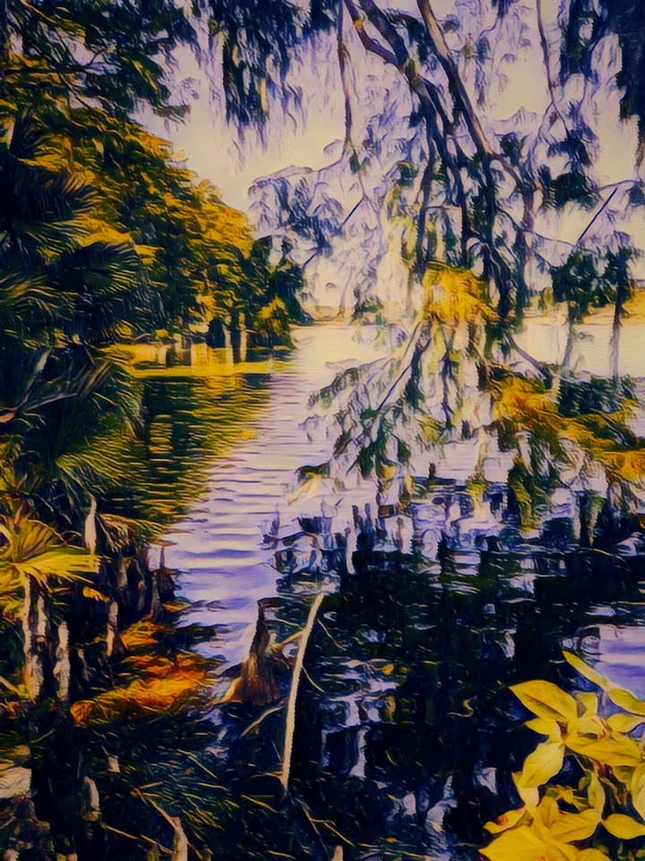 Orlando fine art print
