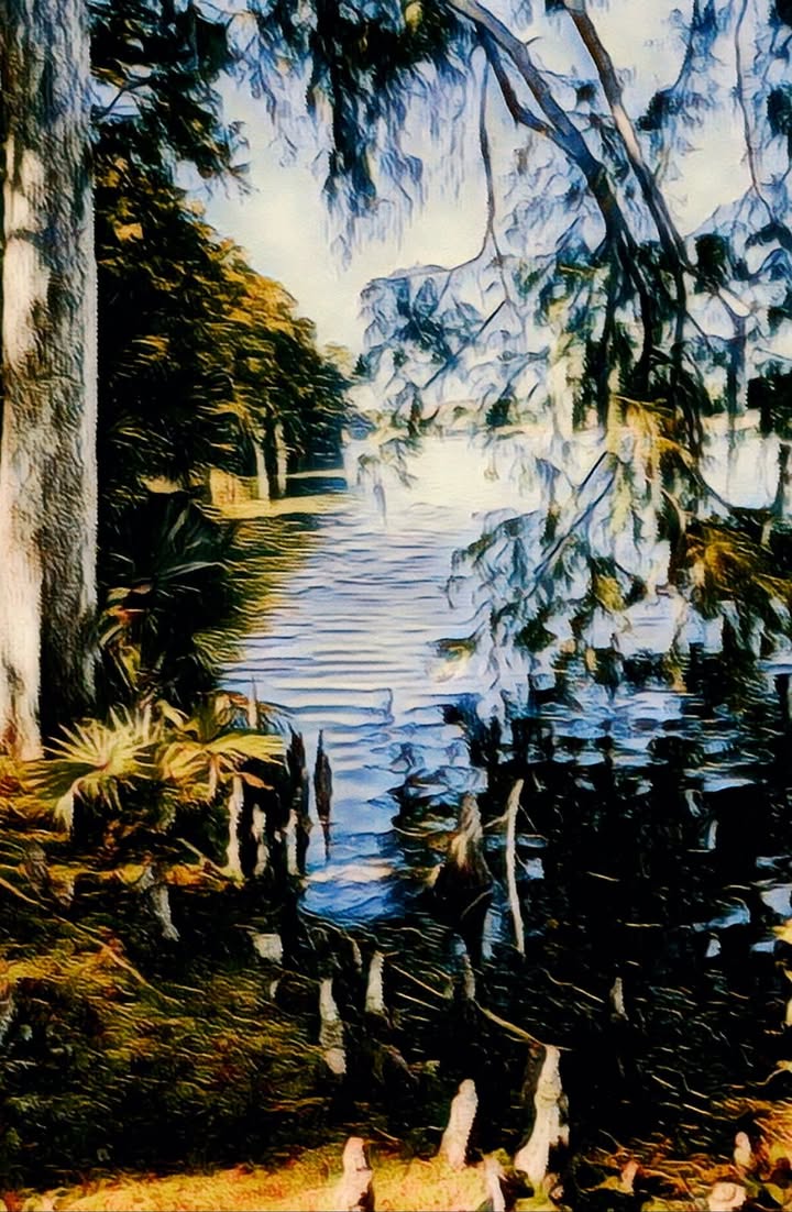 custom art commission Orlando
