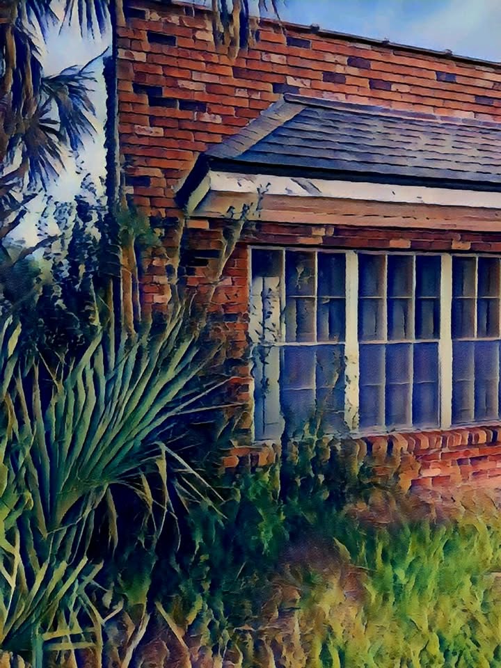 illustration art collection Orlando